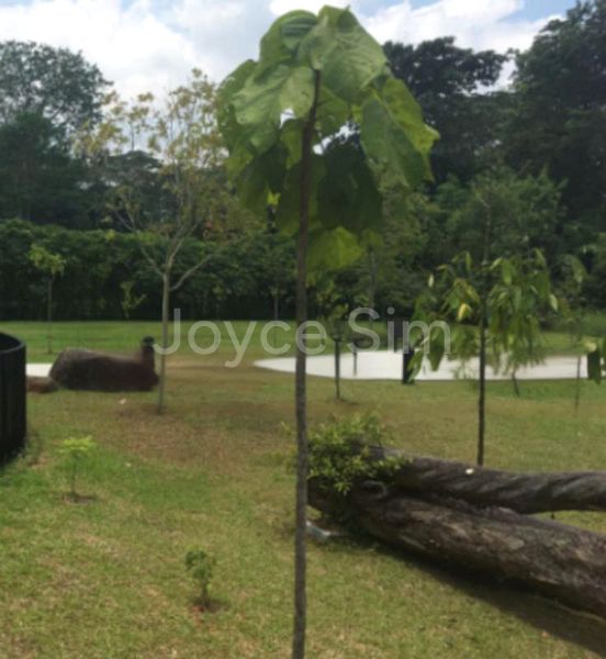 6 Bed Bungalow (Landed) for Sale in  Serangoon Avenue 3 - Image 1
